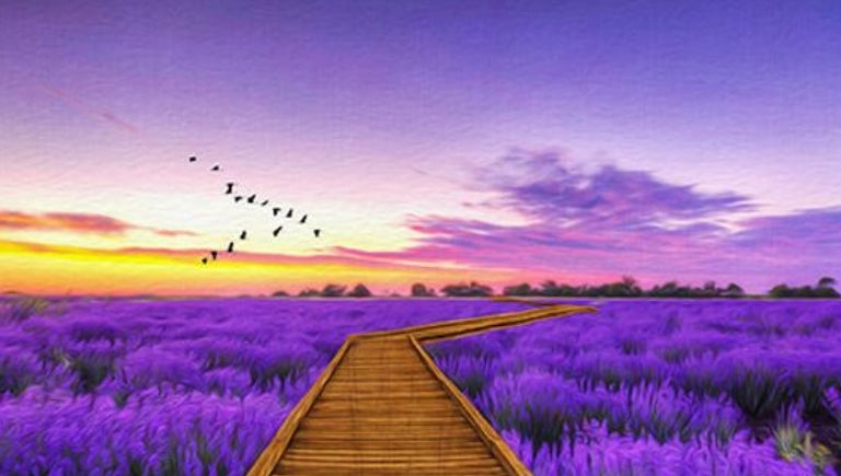 Lavender Bliss Handmade Soap