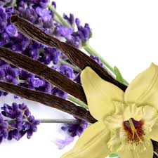 Lavendar Vanilla Lip Balm